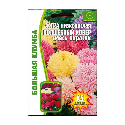 Астра низкорослая Волшебный ковер смесь окрасок 100 шт редкие семена