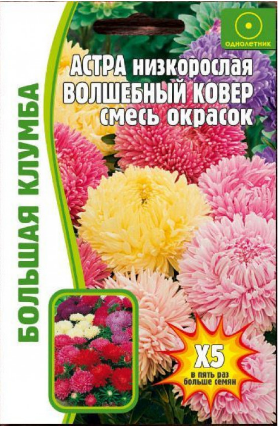 Астра низкорослая Волшебный ковер смесь окрасок 100 шт редкие семена