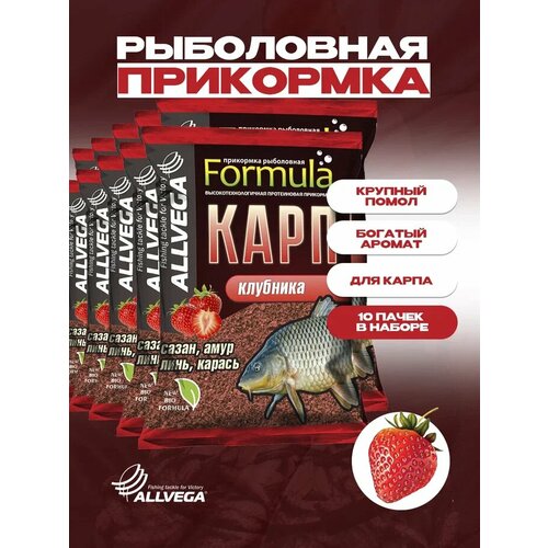 Прикормка ALLVEGA Formula Carp Strawberry (карп клубника) набор 10 штук по 0.9 кг