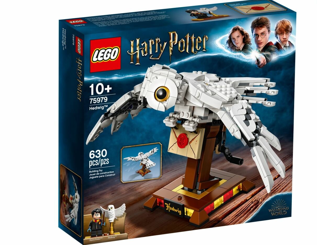 Конструктор LEGO Harry Potter 75979 Букля