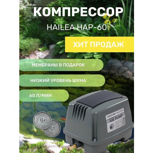 Компрессор HAILEA HAP-60 комплект мембран HAILEA HAP-60 10500₽