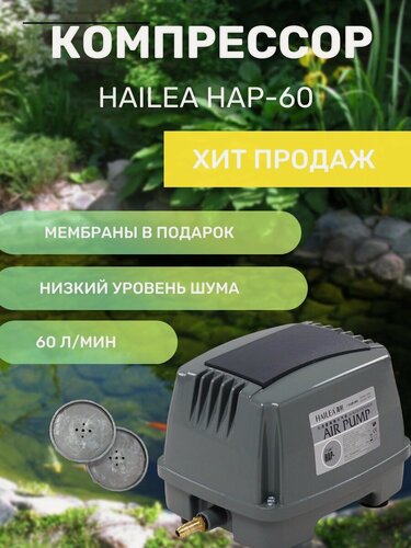 Изображение товара Компрессор HAILEA HAP-60 + комплект мембран HAILEA HAP-60