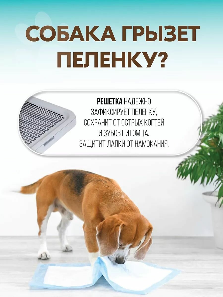 Изображение Туалет лоток для собак со столбиком и стенкой 51*41*27см