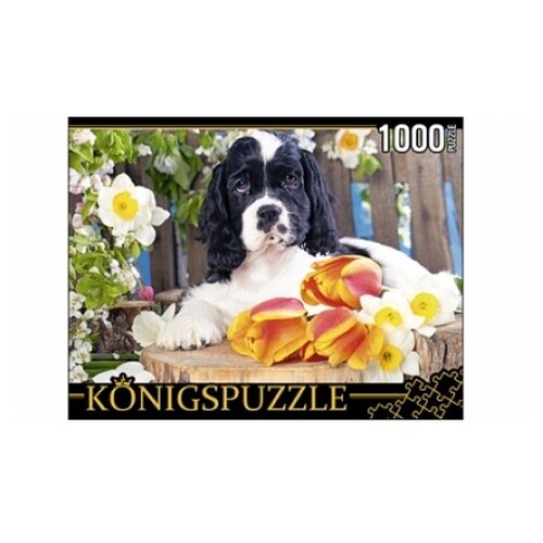 пазл konigspuzzle яркая парижская улица фk1000 6637 1000 дет Пазл Konigspuzzle Щенок спаниеля (ГИК1000-8238), 1000 дет.