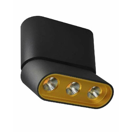 Светодиодный спот Lumien Hall Фергус 80053CS-BK-GD 12548₽