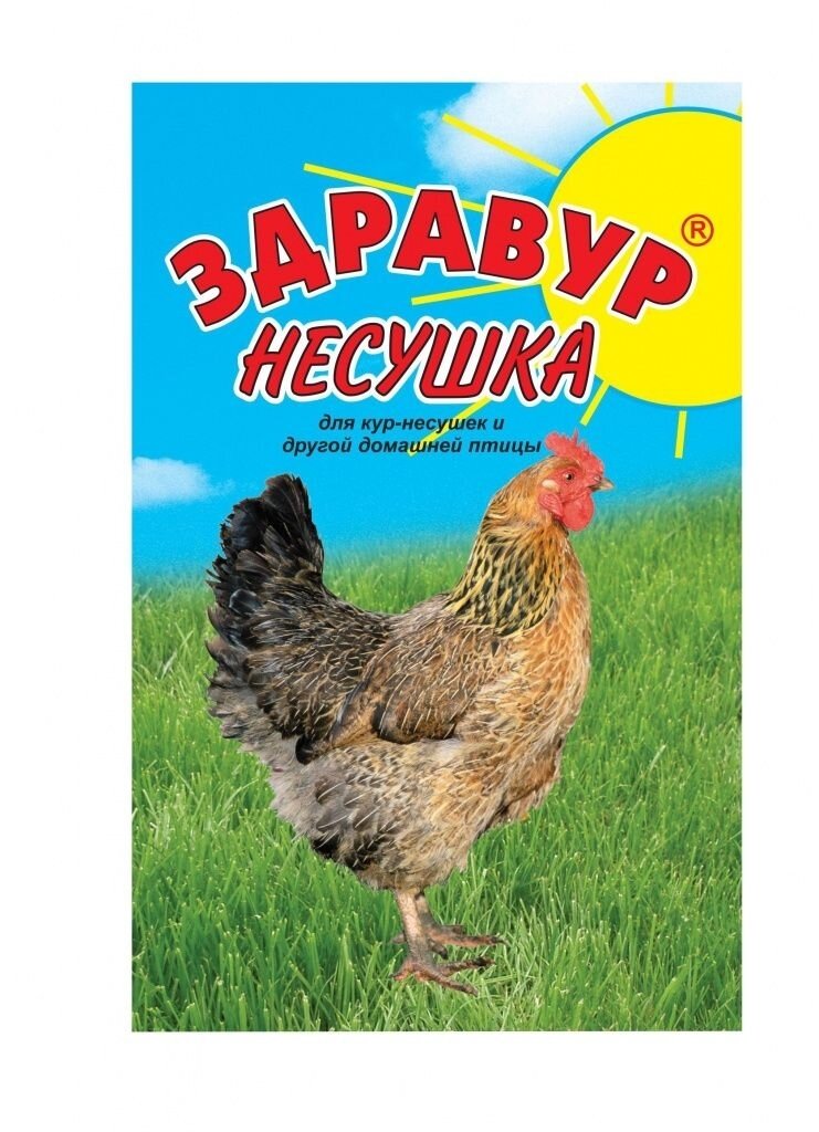 Кормовая добавка для кур-несушек и другой домашней птицы Здравур Несушка, 2 пакета по 250гр. - фотография № 2