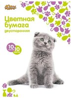 Цветная бумага двусторонняя Animals №1 School, A4, 10 л., 10 цв.