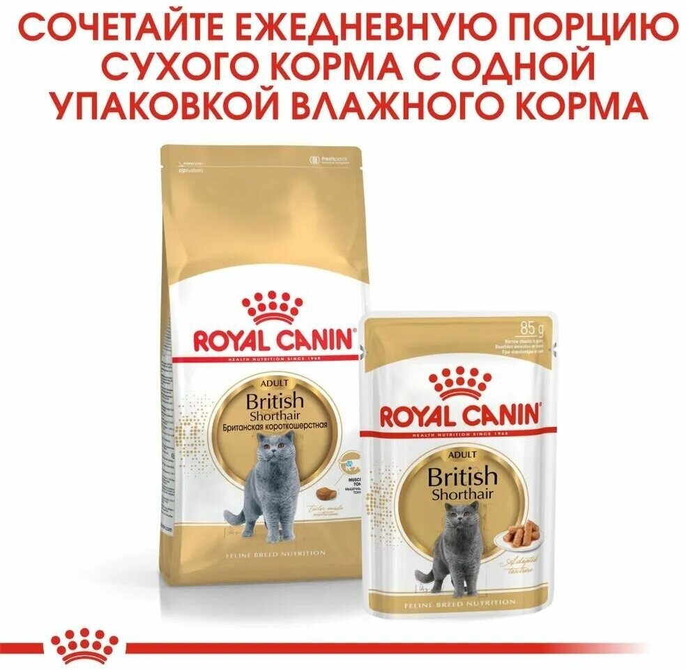 Сухой корм royal canin для кошек породы британская короткошерстная feline breed nutrition british shorthair 34 400г - фотография № 13