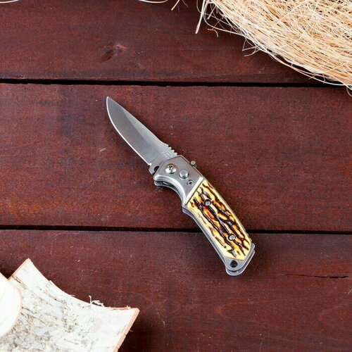 фото Нож складной полуавтоматический пескарь, клинок 6см, слон. кость китай