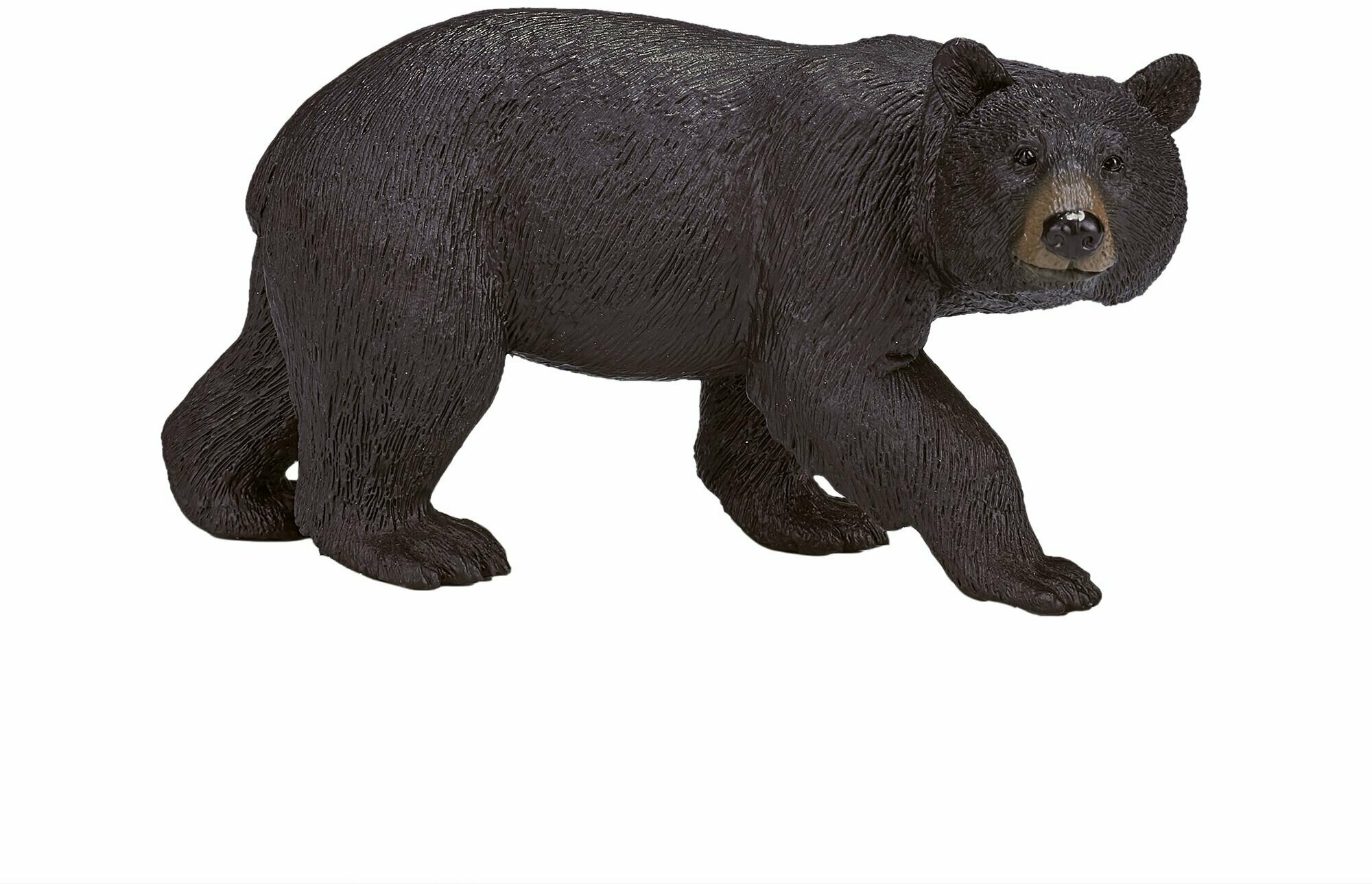 Фигурка-игрушка Американский черный медведь, AMW2055, KONIK