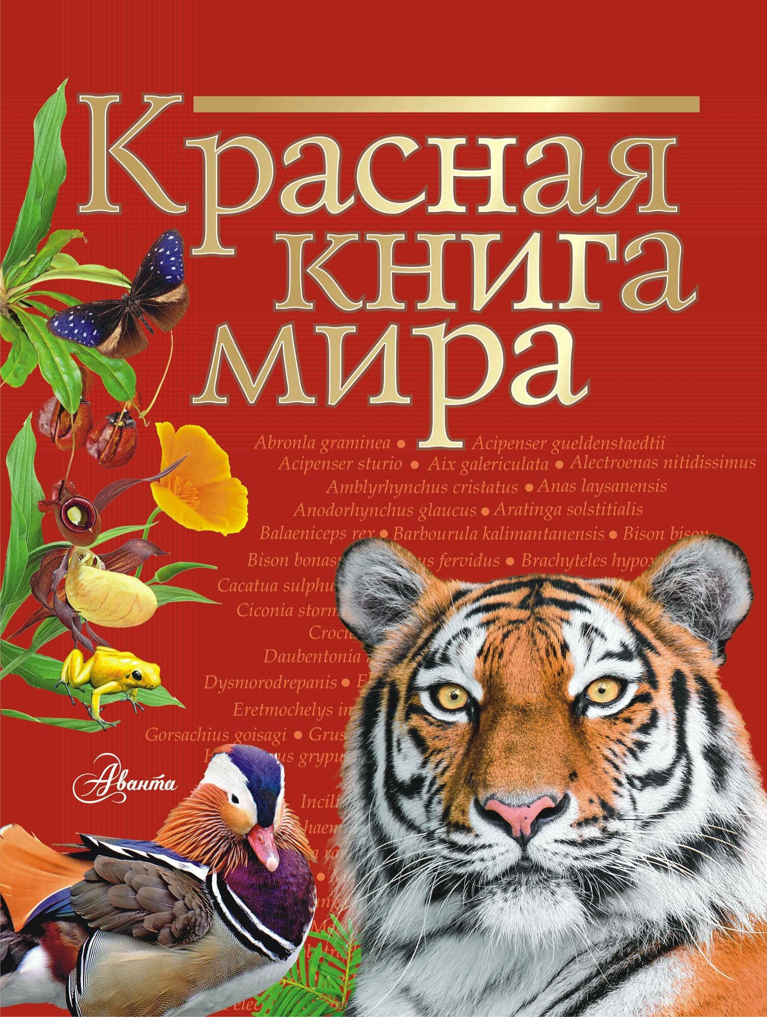 "Красная книга мира"Пескова И. М, Молюков М. И.
