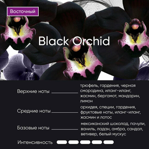 Ароматизатор для автомобиля Black Orchid в подарочной упаковке.