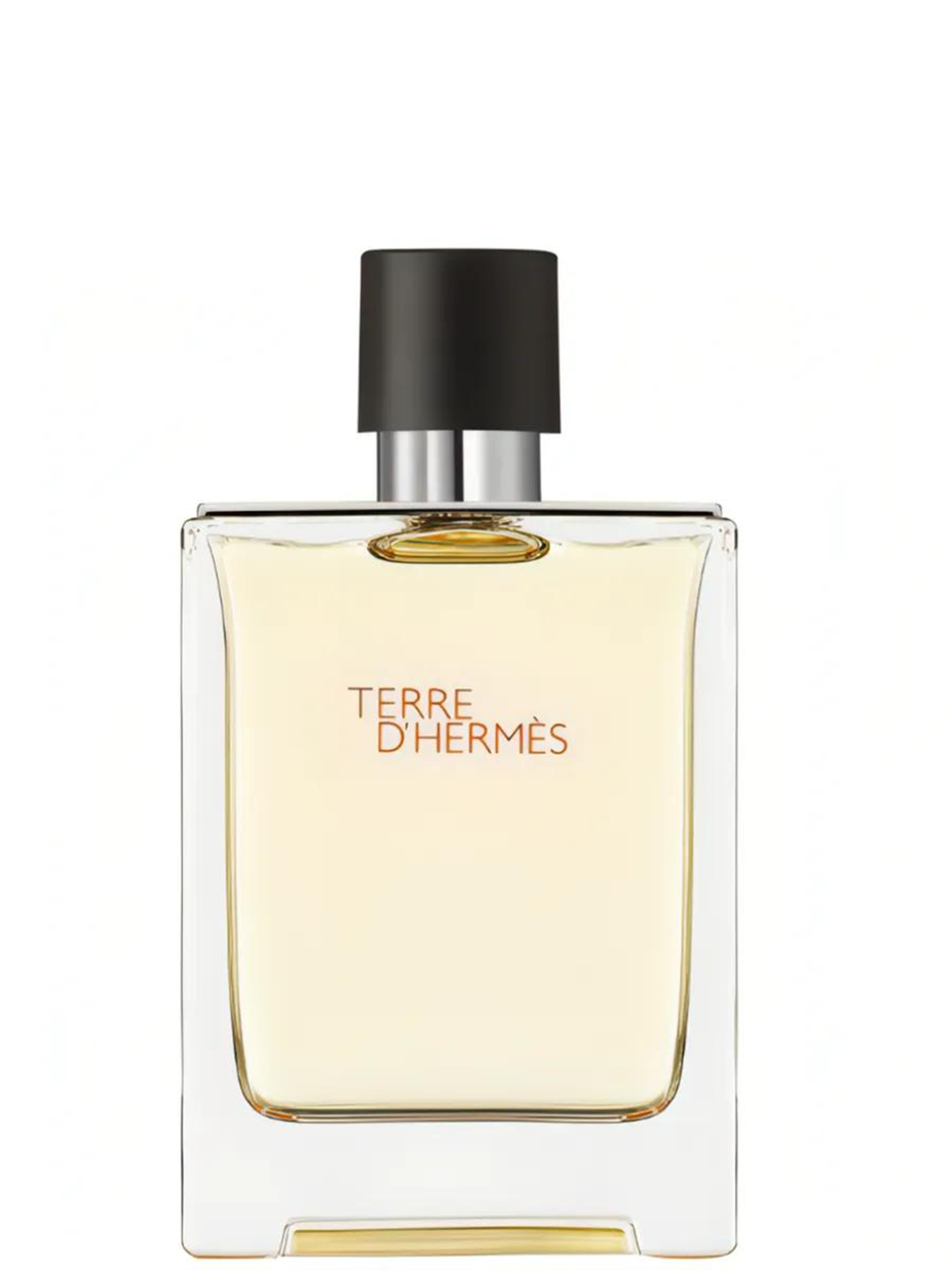 Духи Hermes "Terre d'Hermes", мужские, древесные ноты, 100мл — фото 1