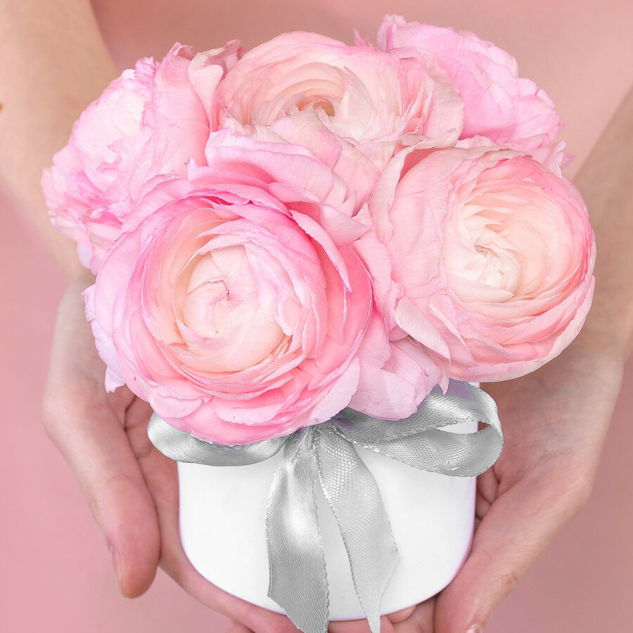 Композиция Мегацвет24 "Розовые ранункулюсы" 5 шт в шляпной коробке