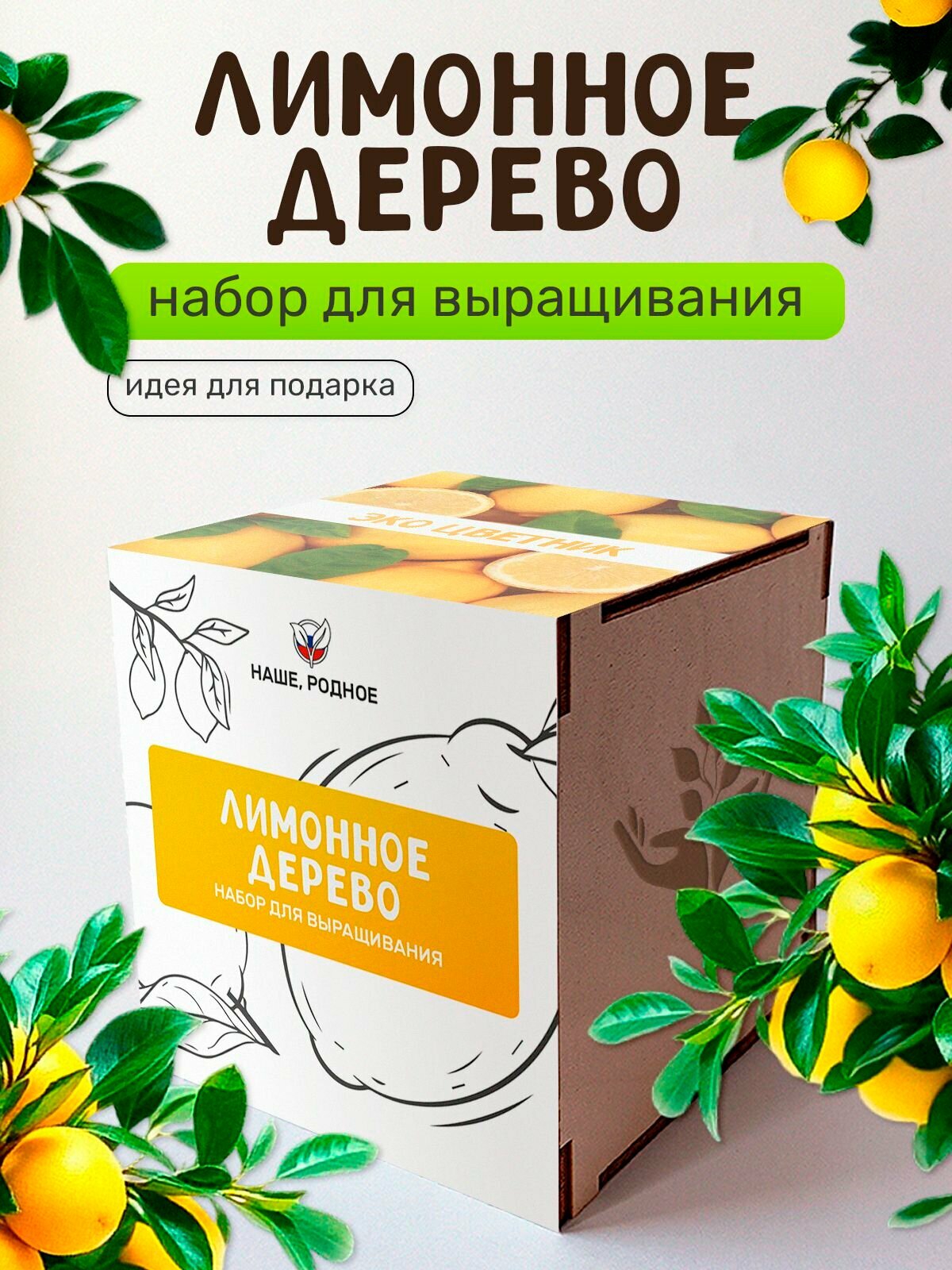 Набор для выращивания растений Сад на окне 