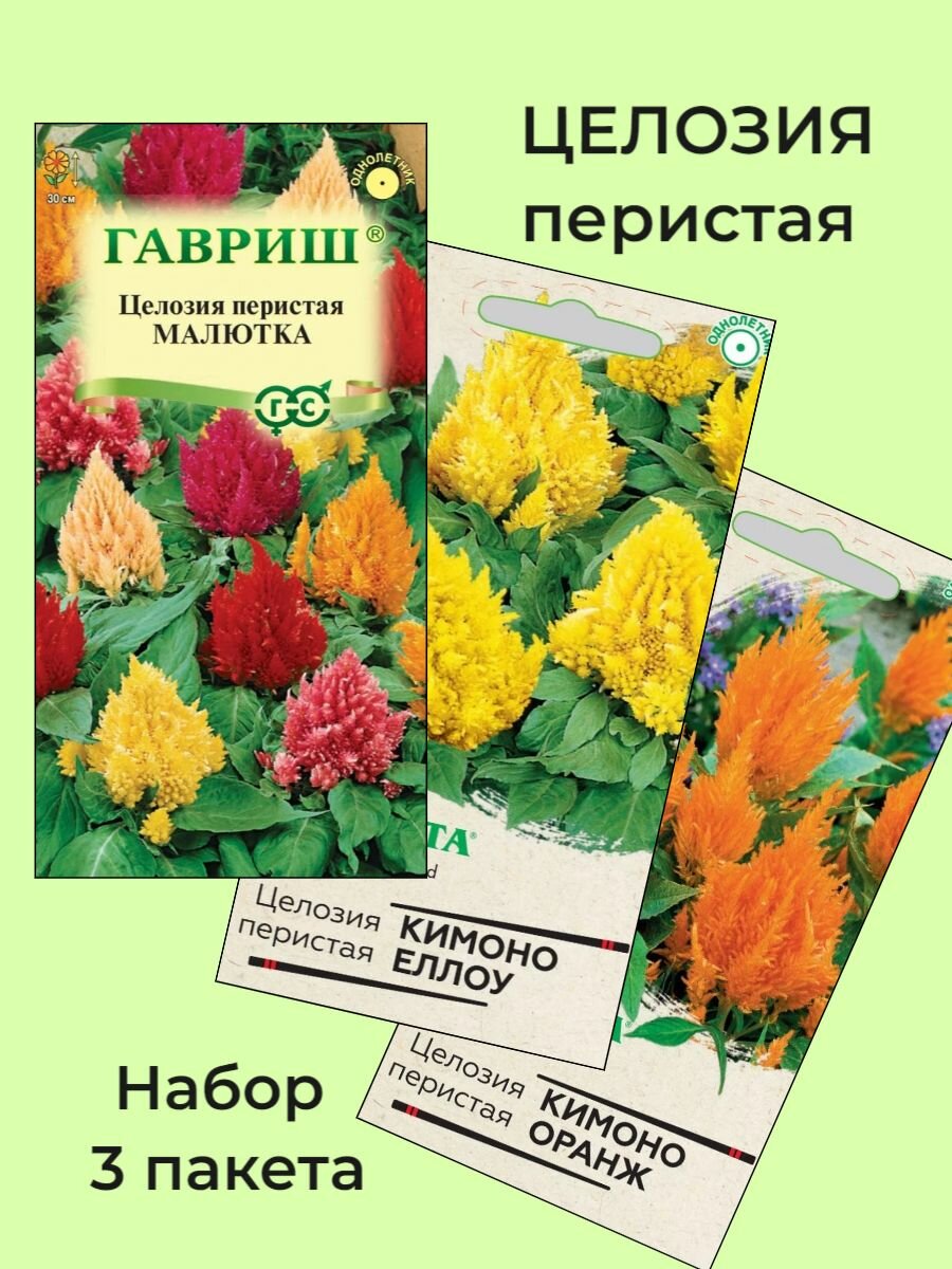 Семена Целозия Перистая 3 сорта