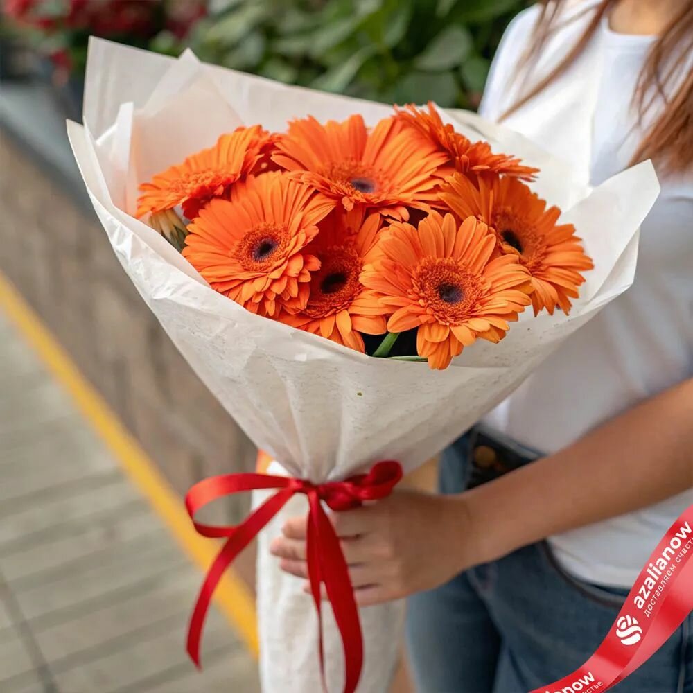 Букет из 9 оранжевых мини - гербер 