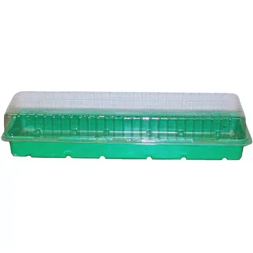 Парник для рассады на подоконник 3-местный пластиковый контейнер с вентиляцией зеленый/прозрачный