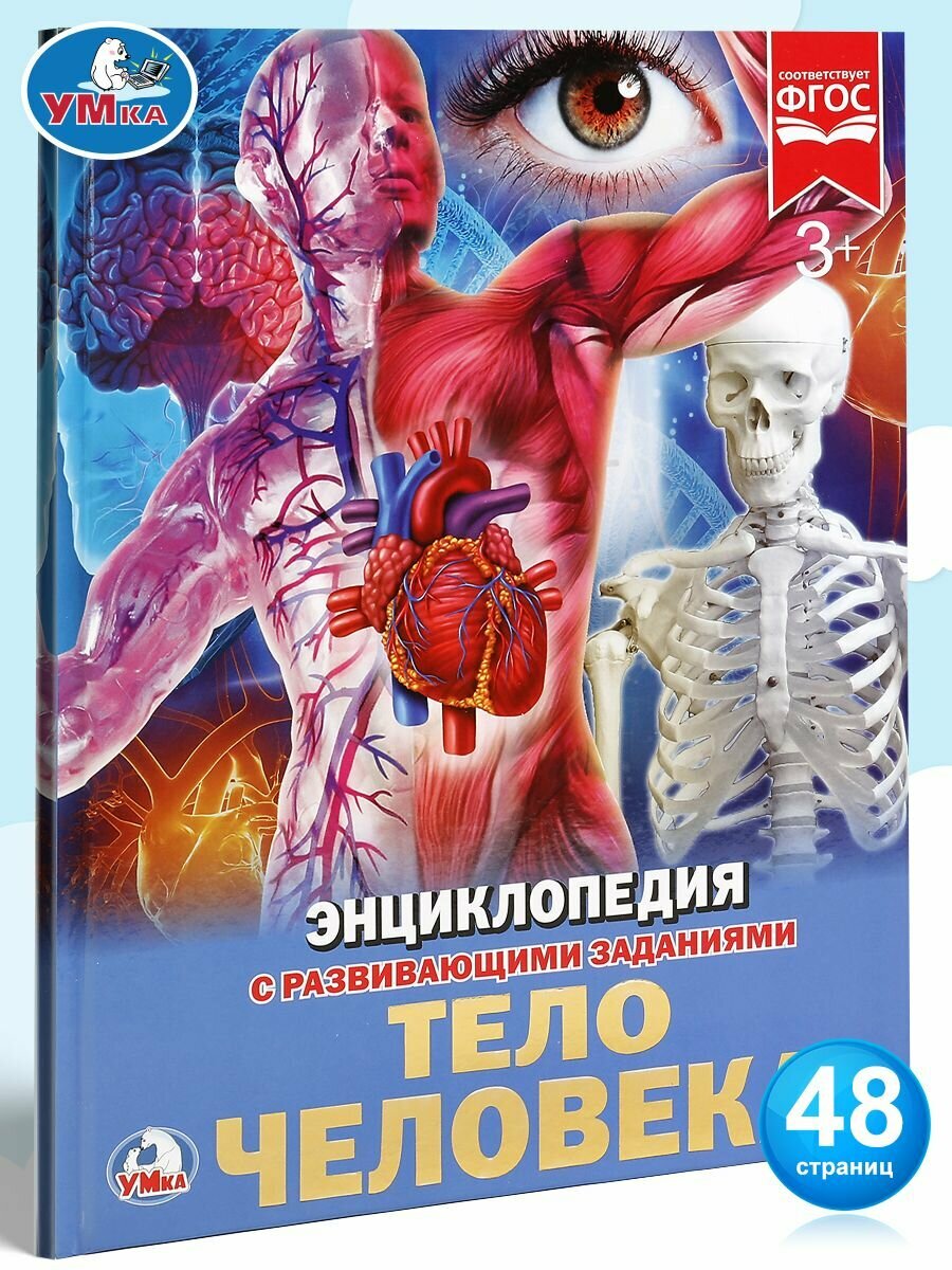 Энциклопедия для детей Тело человека Умка