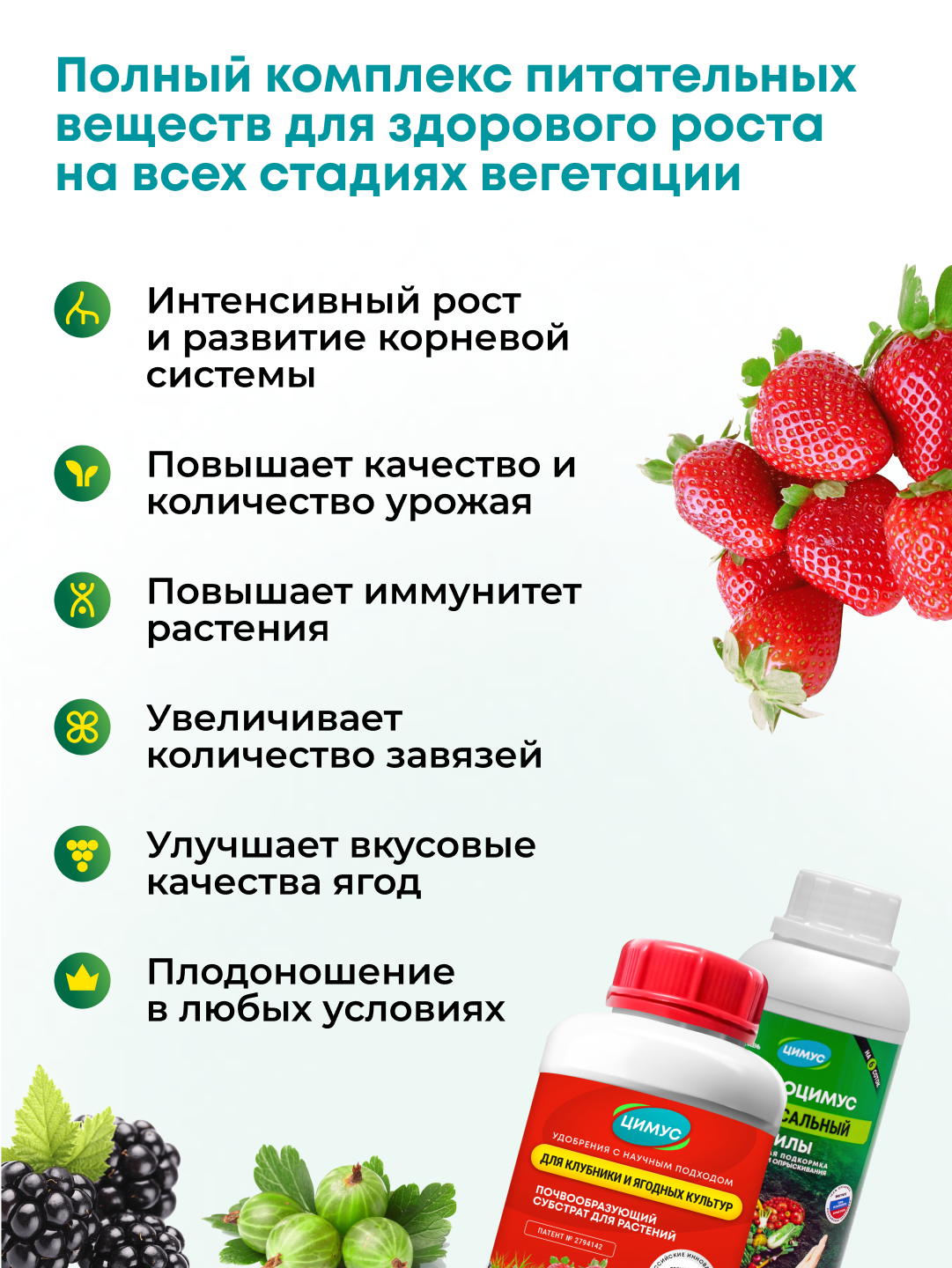 Удобрение осеннее для растений аминоцимус + удобрение для саженцев ягод цимус, 100 % органика, набор 750 г + 500 мл — фото 1