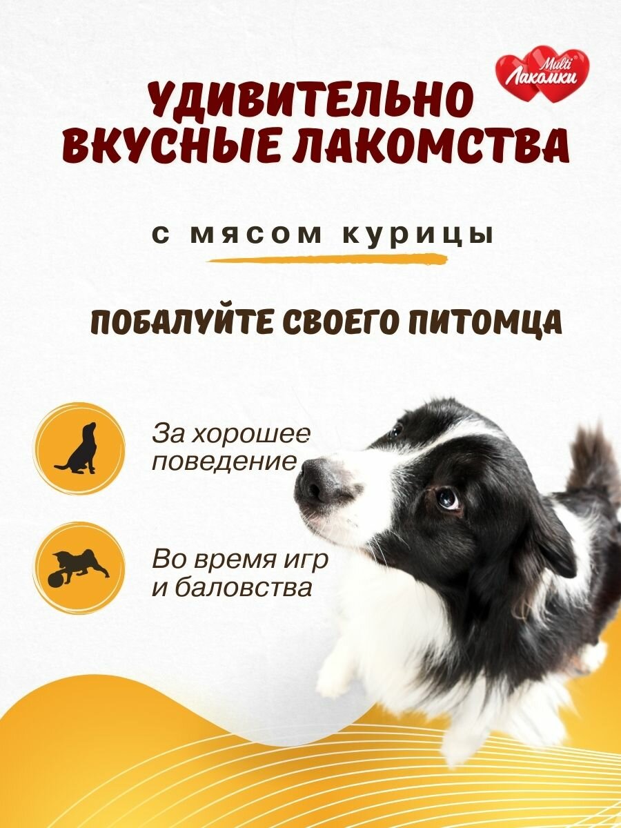 Витамины для собак MultiЛакомки лакомство Восхитительная шерсть 100 таблеток — фото 1