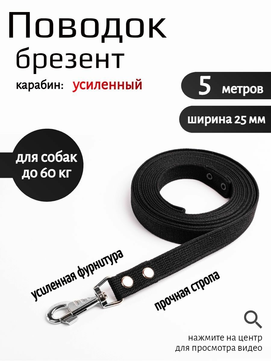 Поводок для собак крупных пород брезент с карабином 5 м х 25 мм (черный)
