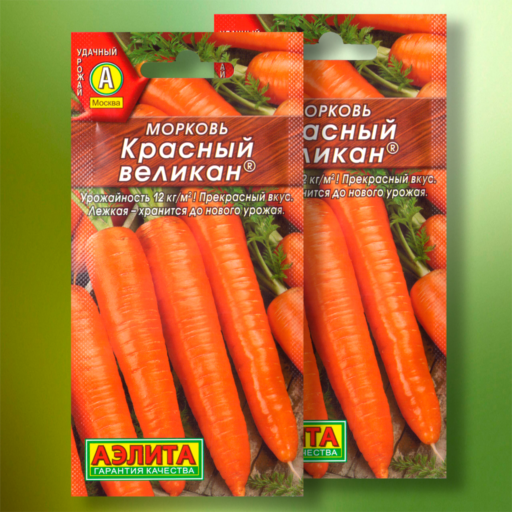 Семена моркови 