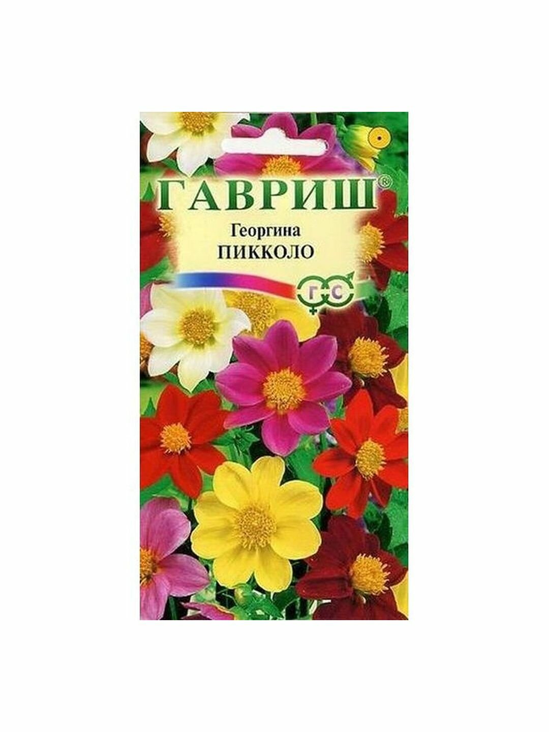 Семена Георгина Пикколо смесь однолетник Гавриш 1 пачка - 0.3г семян