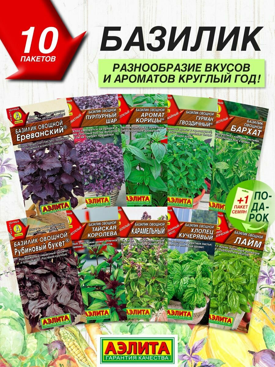 Семена трав Аэлита Базилик 10 сортов / Семена Базилика овощного
