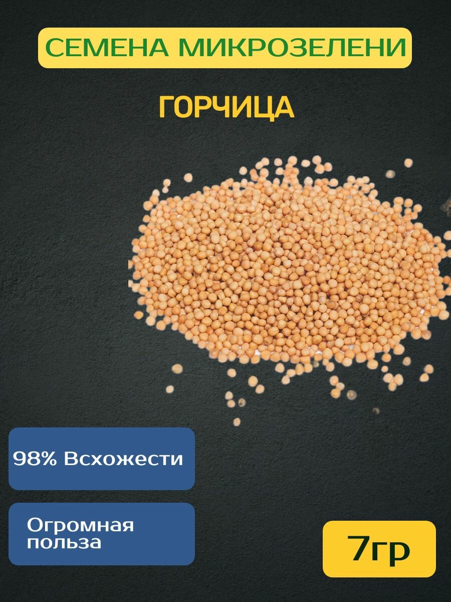 Семена горчицы для микрозелени (7гр)
