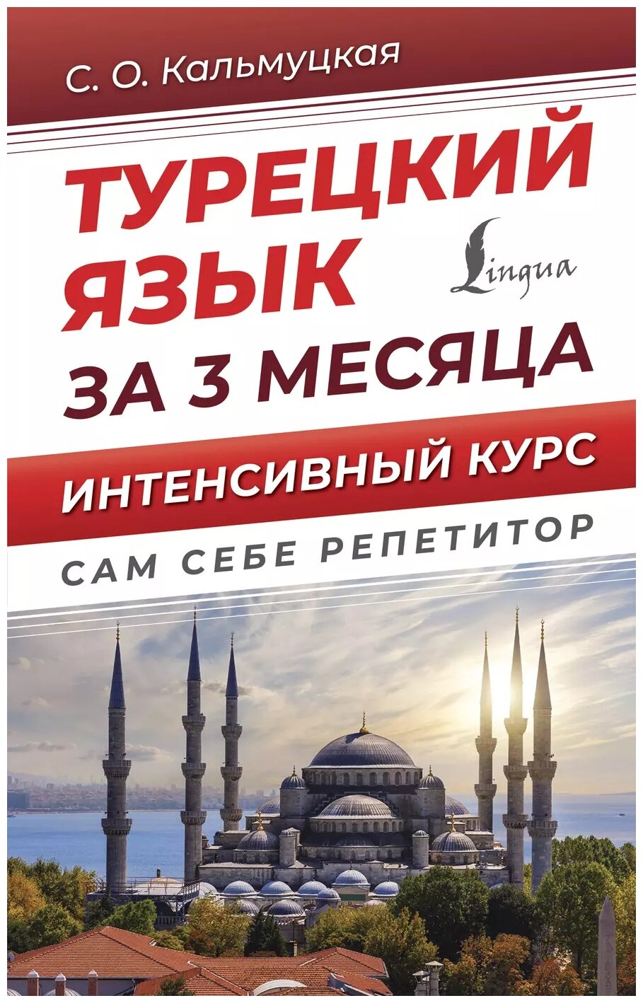 Турецкий язык за 3 месяца. Интенсивный курс - фото №1
