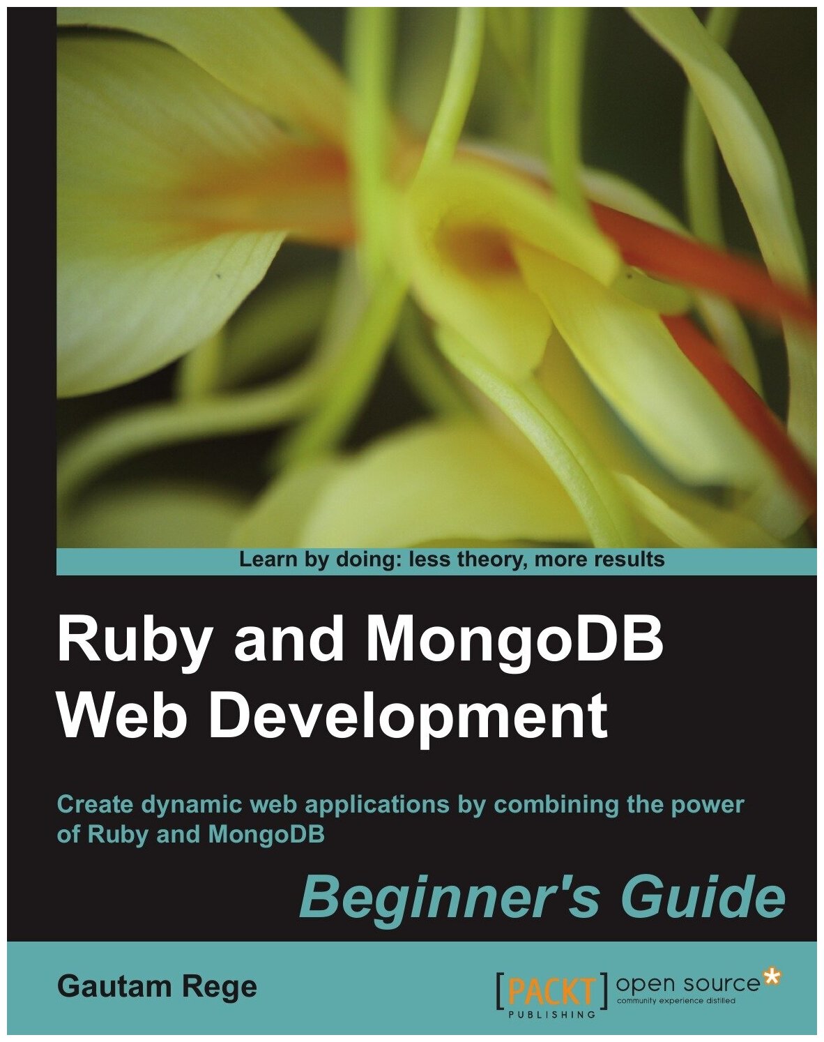 Ruby and Mongodb Web Development Beginners Guide - фото №1