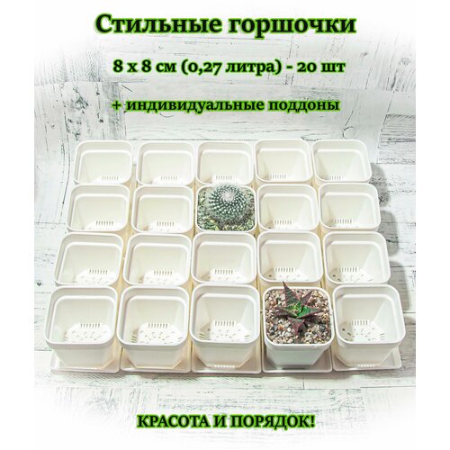 Стильные белые горшочки для суккулентов, кактусов, фиалок с индивидуальными поддонами 8х8 см 0,27л 20 шт.