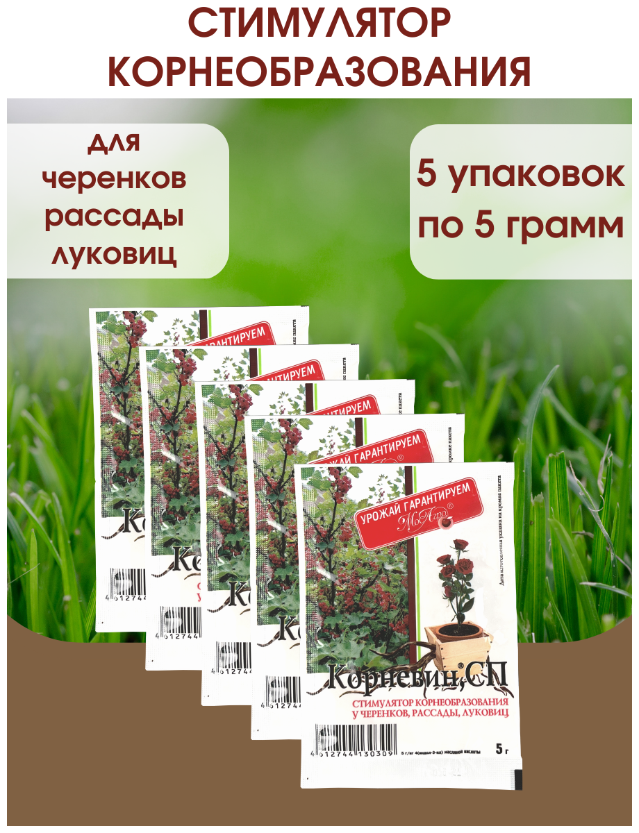 Корневин Стимулятор образования и роста корней, Упаковка - 5 гр., 5 Упаковок - фотография № 1