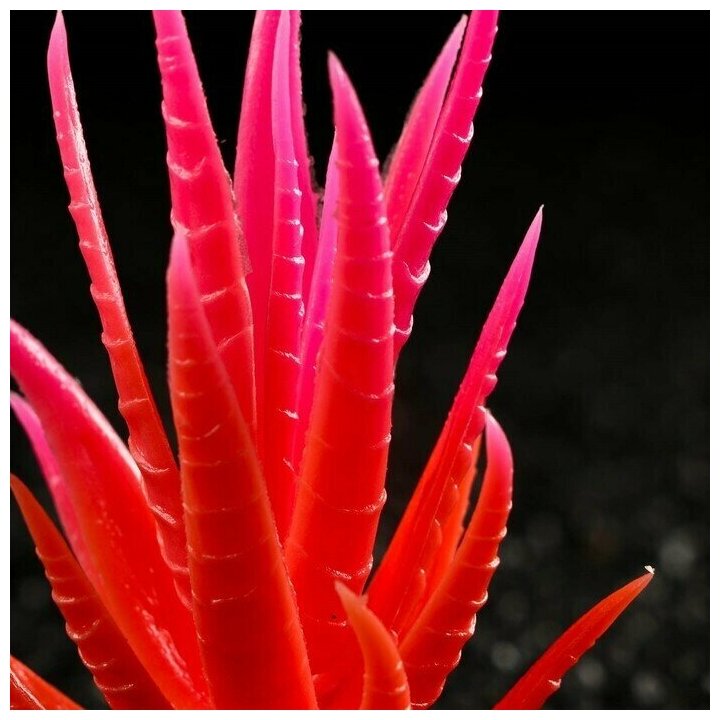 Растение искусственное аквариумное, светящееся, 10 см, красное Пижон Аква 7514214 . - фотография № 2
