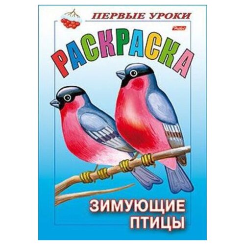 первые уроки раскраска перелетные птицы Hatber Раскраска. Первые уроки. Зимующие птицы