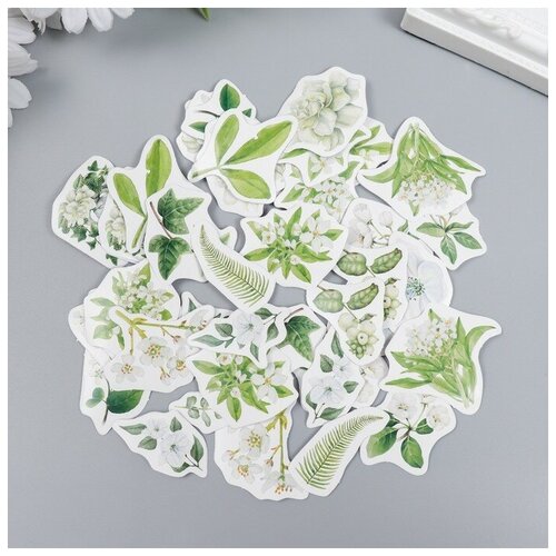 SUI Наклейки для творчества 