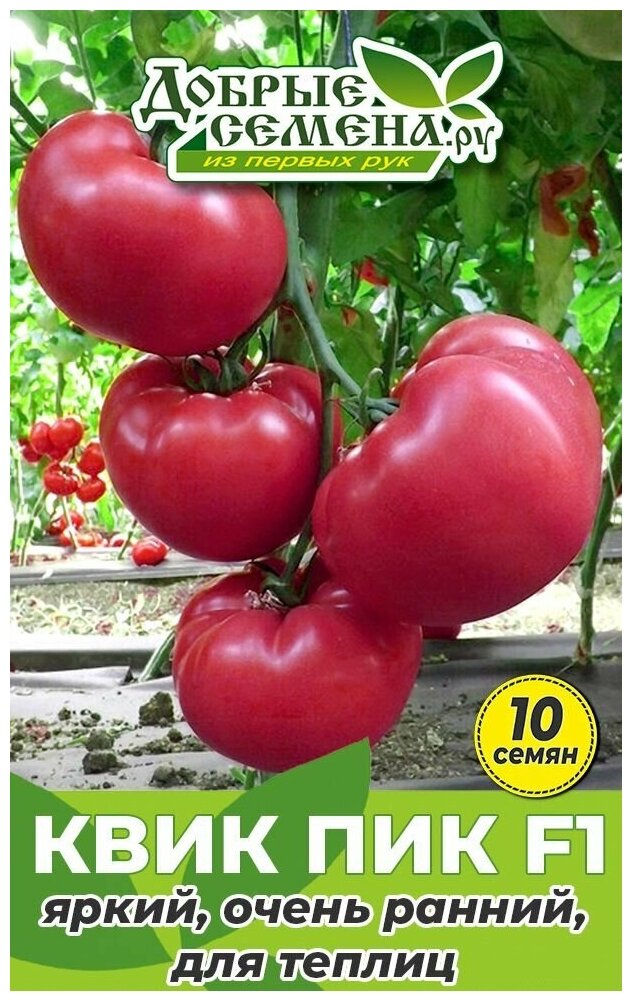 Семена томата Квик Пик F1   10 шт   Добрые Семена  ру