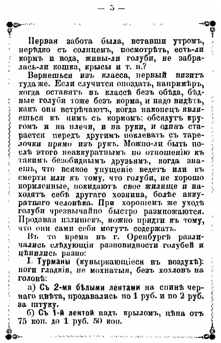 Книга "Голубиный охотник" - фото №5
