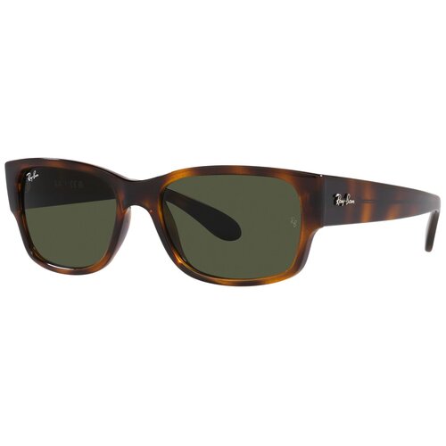 Cолнцезащитные очки RAYBAN 0RB4388 71031 58