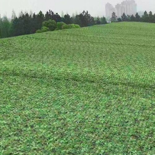 Маскировочная сеть 3х4 метра