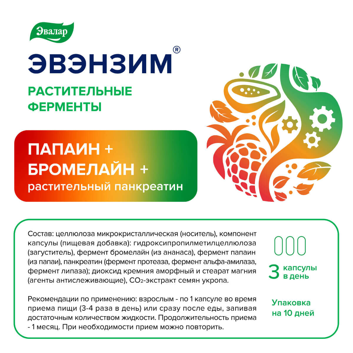 Эвэнзим комплекс сильных ферментов капс.30 шт Эвалар - фото №5