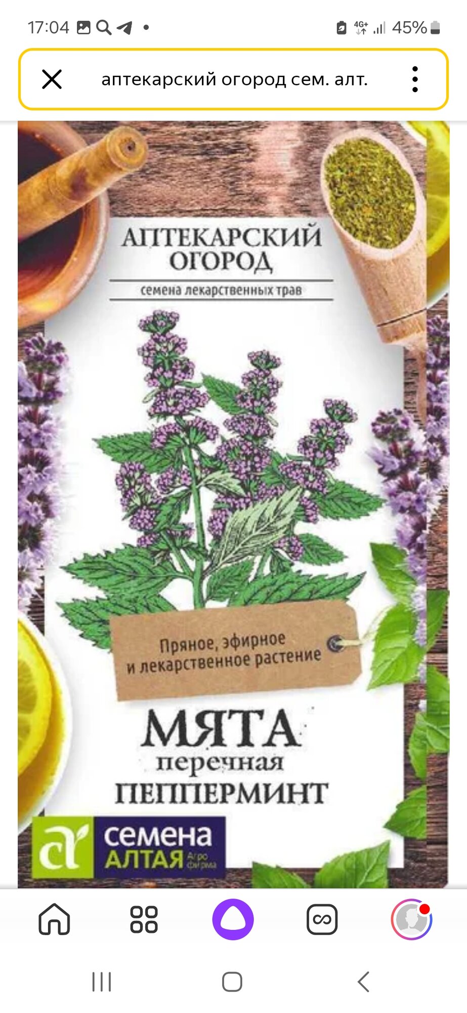 Мята перечная многолетник. 1 уп. Сем. Алт.