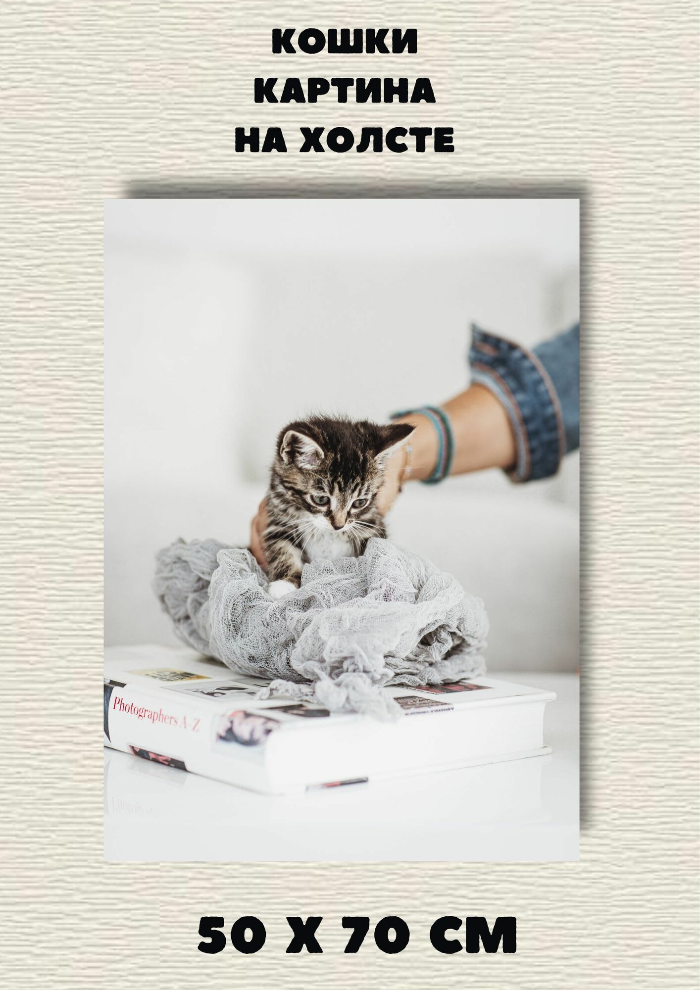 Картина "Коты животные котята" фотокартина на холсте для интерьера