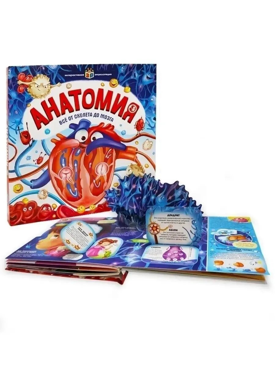 Энциклопедия Malamalama "Анатомия", pop-up элементы, интерактивная, 2022 г, 16 страниц