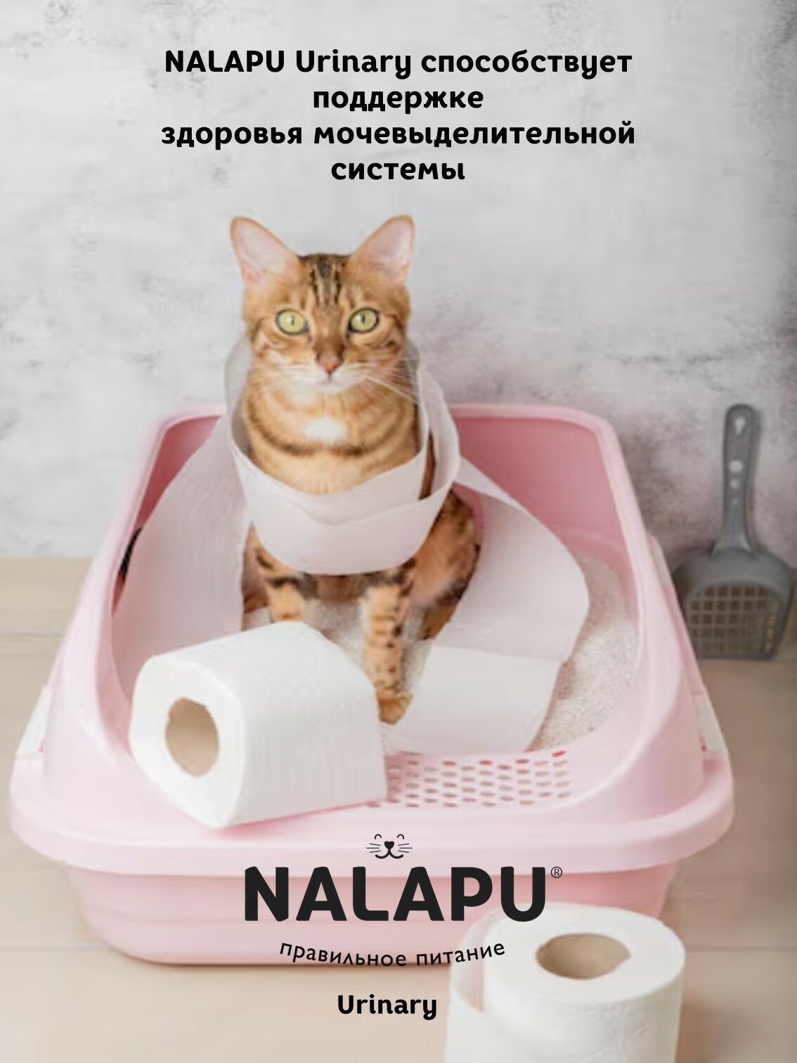 Корм для кошек влажный NALAPU Urinary, сочные кусочки с мясом индейки в желе, 12шт. по 77 г — фото 1