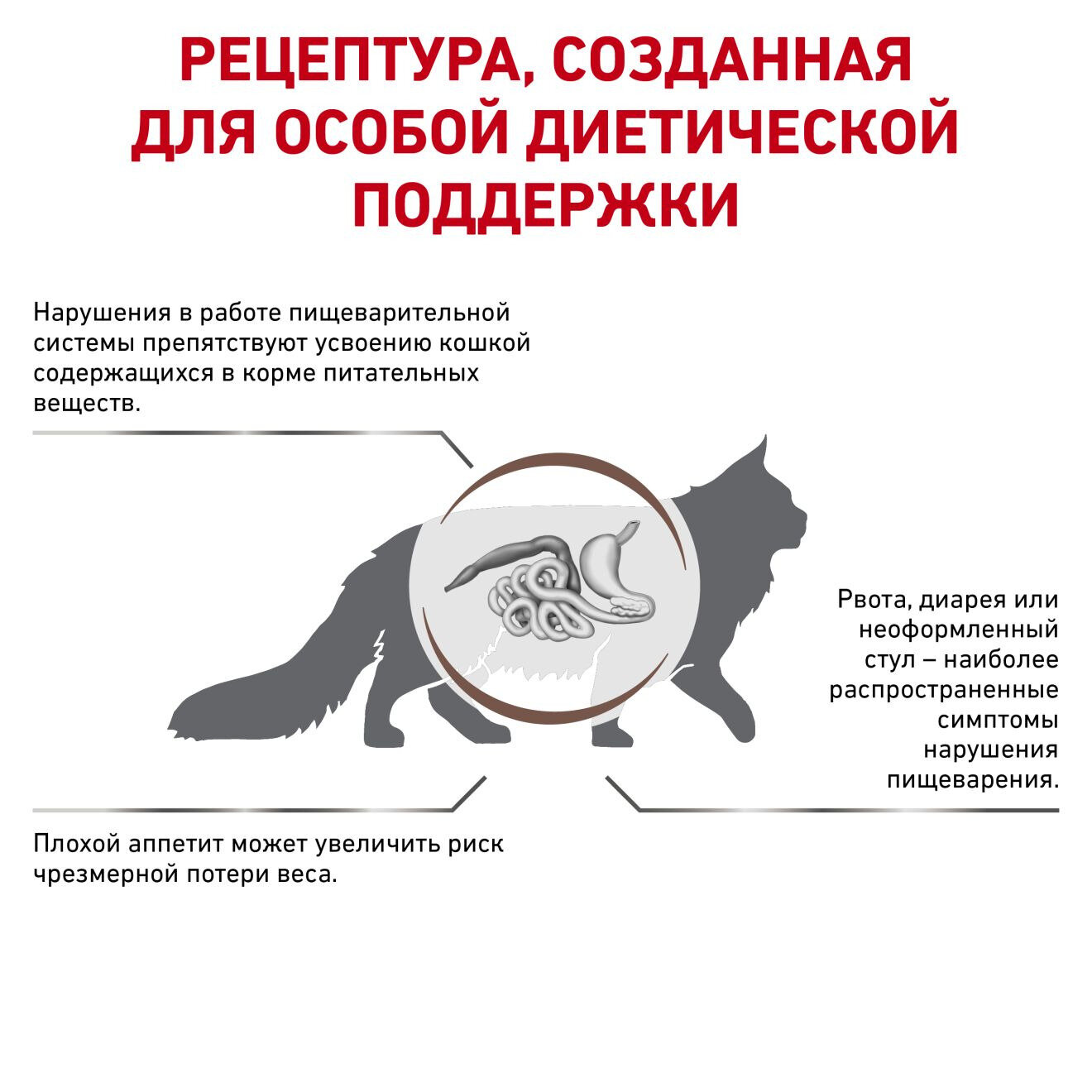 Корм сухой диетический Royal Canin "Gastro Intestinal GL32" для кошек, при нарушениях пищеварения, 2 кг — фото 1