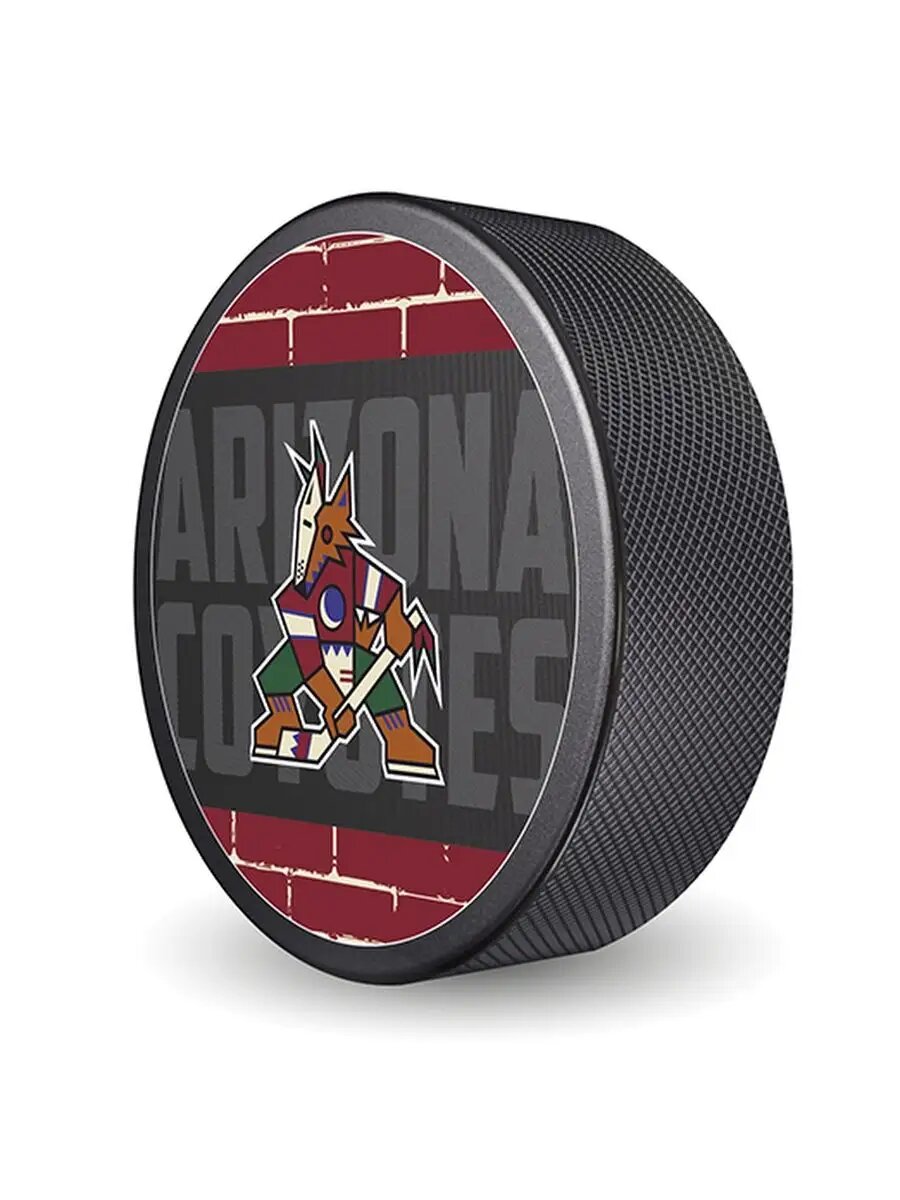 Шайба NHL 2023 Arizona Coyotes