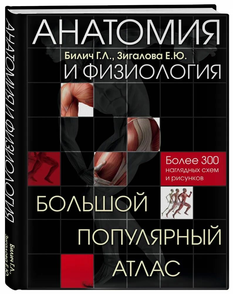 Анатомия и физиология. Большой популярный атлас