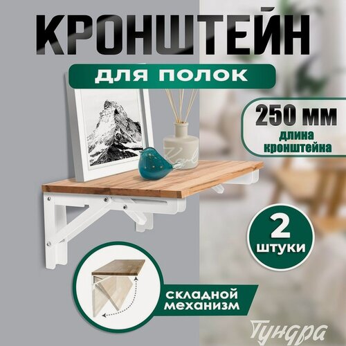 Изображение товара Кронштейн складной для столов и полок тундра, 2 шт, длина 250 мм, сталь, цвет белый